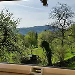 Buczyna