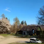 Buczyna *