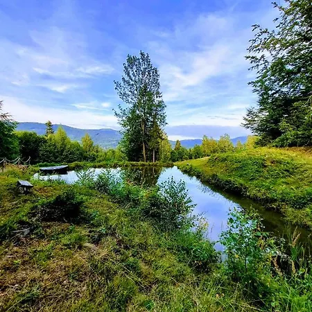 Buczyna Appartement *