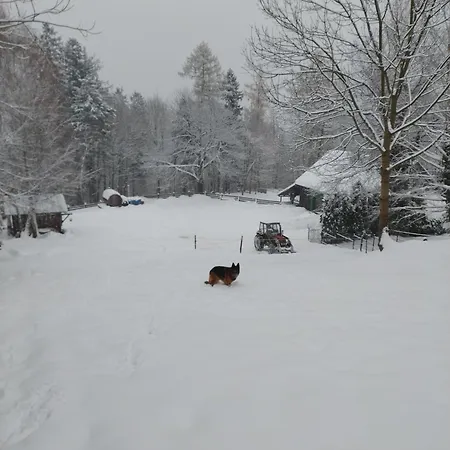 Buczyna Appartement Brenna