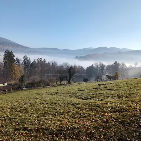 Buczyna 公寓