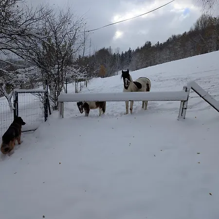 Appartement Buczyna Brenna