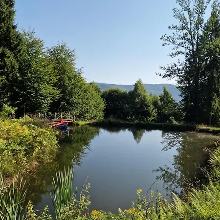 Apartment Buczyna Brenna