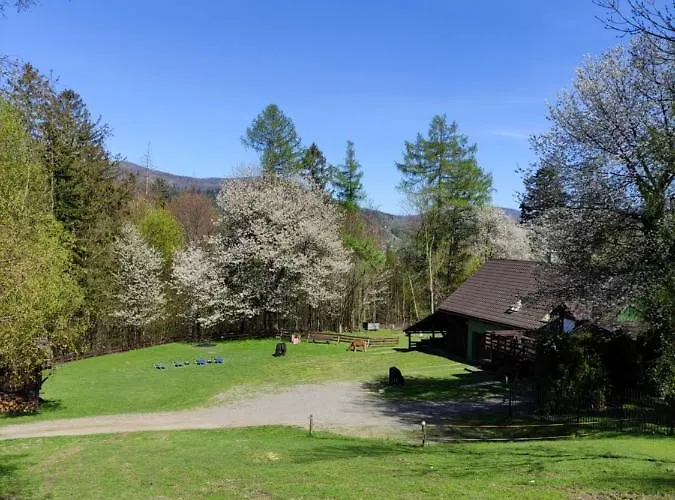 Buczyna Apartment Brenna