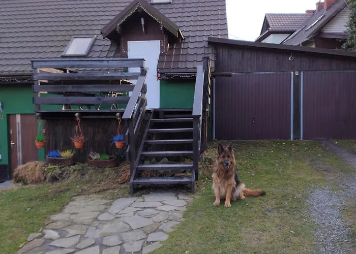 Buczyna Apartment Brenna