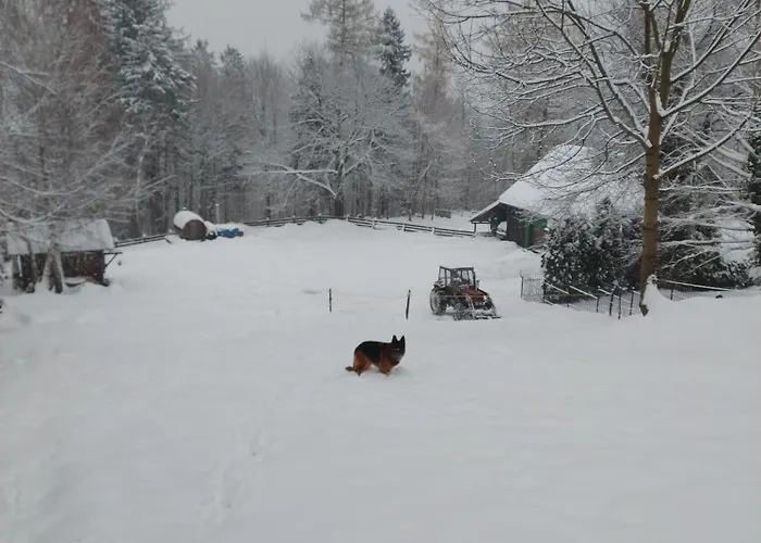 Buczyna Apartment Brenna