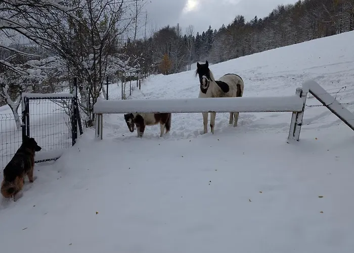 Apartment Buczyna Brenna