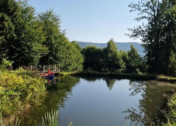 Apartment Buczyna Brenna