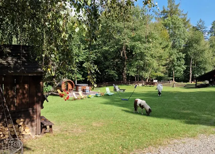 Buczyna Apartment Brenna